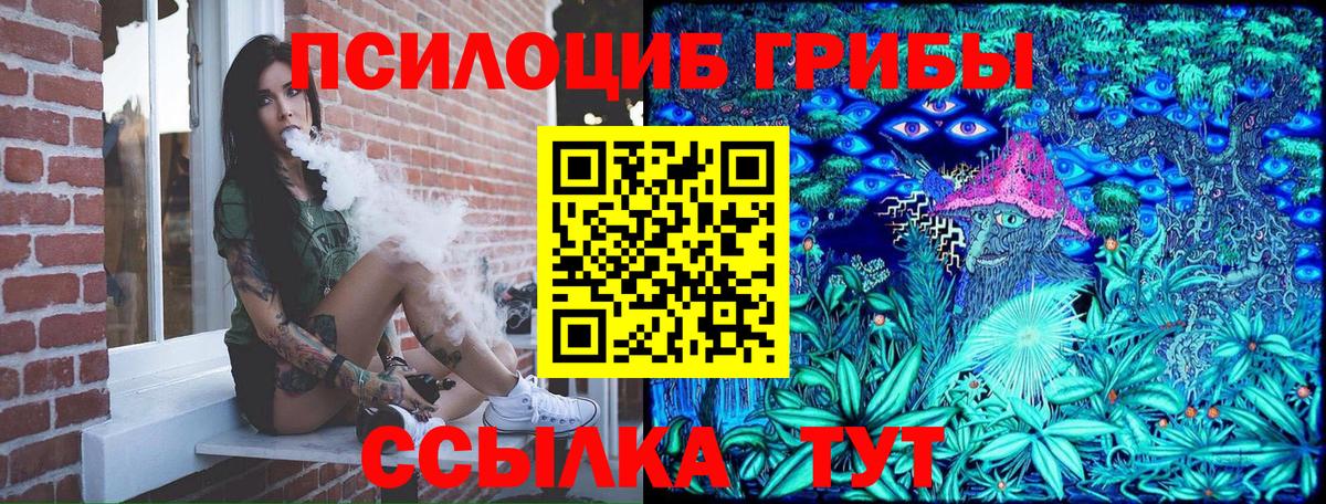 Псилоцибиновые грибы Cubensis  Вход с VPN  Рубцовск 