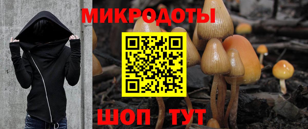 Галлюциногенные грибы Magic Shrooms  Рубцовск 